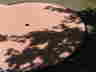 DSCF6846