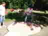 DSCF6848