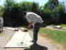 DSCF6870