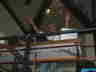 DSCF8528