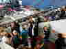 DSCI0075