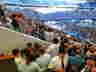DSCI0089
