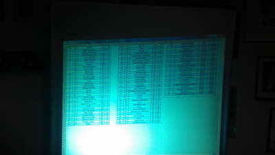 IMAG0977